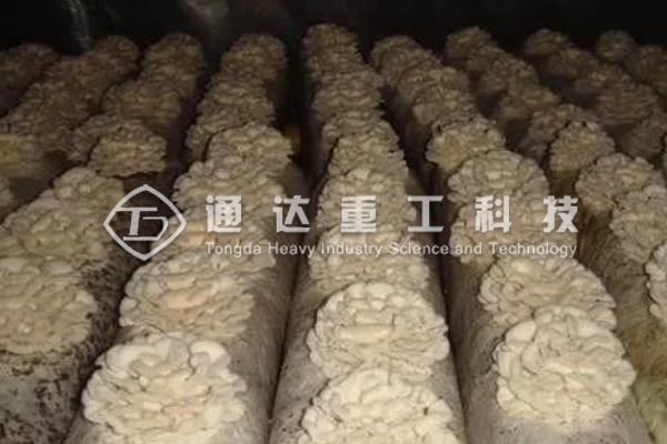 廢棄菌糠發酵做有機肥的方法和步驟，顆粒狀菌糠有機肥生產線有哪些配置