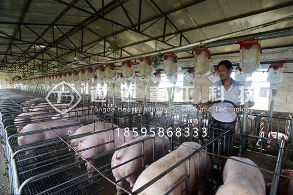 豬糞有機肥加工設備